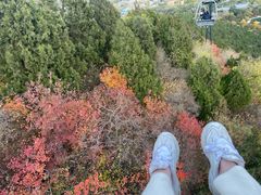 -香山公园