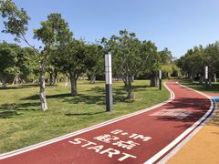 -厦门国家会计学院