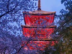 -东湖生态旅游风景区