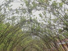 -芜湖方特东方神画