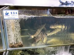 -胖姐渔村(中源大道店)