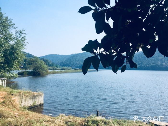 无想寺森林公园图片 - 第133张