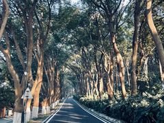 -上海市保健医疗中心