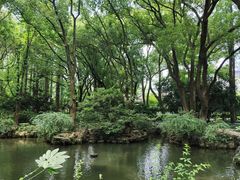 -上海醉白池公园