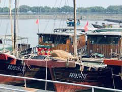 -南沙十九涌渔人码头-南门