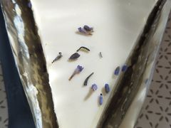 柠檬蜂蜜薰衣草-Pie Bird(新闸路店)