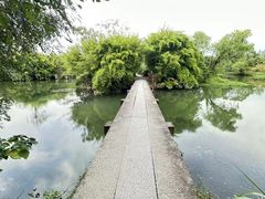 -西溪国家湿地公园