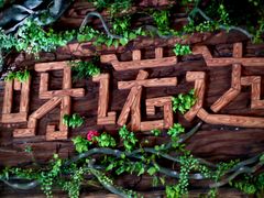 -呀诺达热带雨林