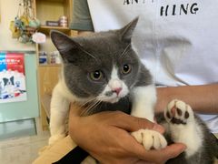-中农大我爱我爱动物医院·核磁CT·猫病·24小时夜诊中心(石佛营店)