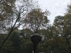 -石燕湖生态旅游景区