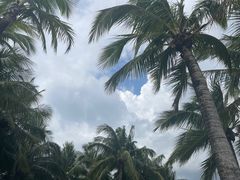 -深圳湾公园(南山区)