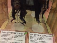 -信不信由你博物馆