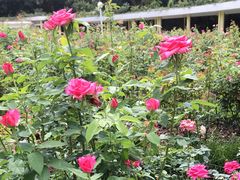 -人民公园(罗湖区)