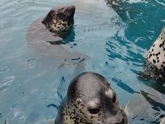 -华夏文旅海洋公园