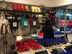 -猫咪博物馆(顶澳仔猫街店)