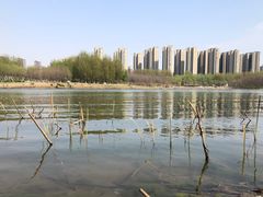 -丁香湖公园