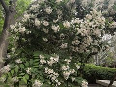 -碑林公园
