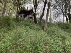 -黄村公园