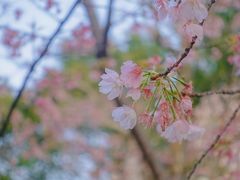 -静安雕塑公园