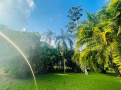 -中国科学院西双版纳热带植物园