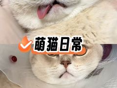 -科道动物医院·急重症中心(万达院)