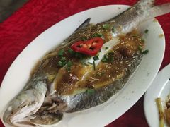 -蛇口康乐快餐鱼仔档(翠苑小区店)