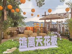 -伴山茶苑·一盏冰茶·半日山居