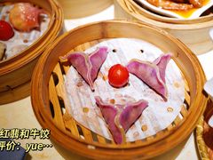 红翡和牛饺-点都德·毕德寮