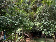 -呀路古热带植物园