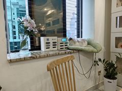 -楼上猫咖(罗湖店)