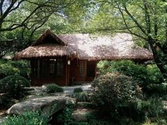 -中国茶叶博物馆(双峰馆区)