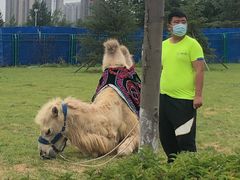 -华夏文旅海洋公园