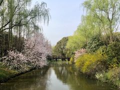 -自然谷恐龙园