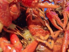-红钳侠小龙虾·烧烤(中赢康康谷店)