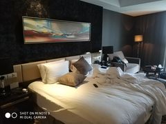 -常州环球恐龙城维景国际大酒店
