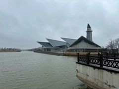 -盐城丹顶鹤湿地生态旅游区