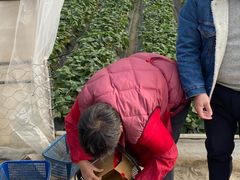 -小鱼草莓采摘园农家乐·小鱼餐厅
