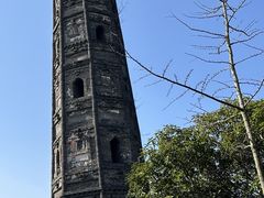 -上海佘山国家森林公园天马山园