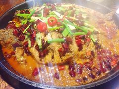 -老板恋上鱼(恒隆广场店)