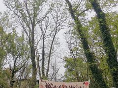 -虞山风景区