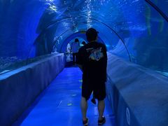 -太平洋海底世界