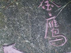 -大金鹰园