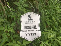 -阳台山森林公园