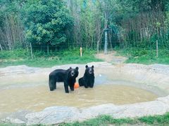 -郑州银基国际旅游度假区