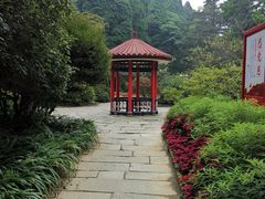 -庐山风景区花径公园