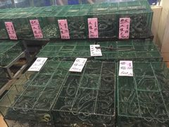 -荔城生鲜盛宴(番禺旗舰店)