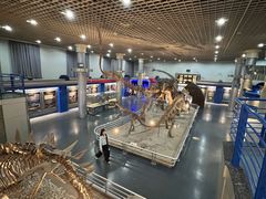 -国家自然博物馆