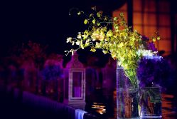 -M'S BANQUET AND SPACE ART