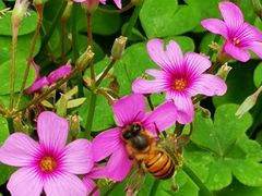 -白塘生态植物园