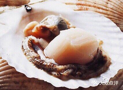 蒜蓉粉丝蒸扇贝的家常做法